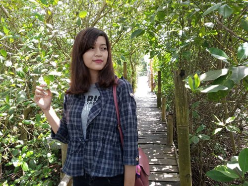 Hutan Mangrove Kulon Progo Yogyakarta