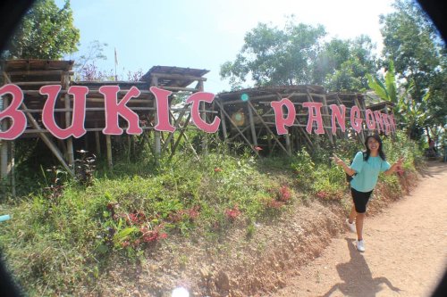 Sekilas Sejarah , Keunikan Bukit , Lokasi Dimana, Fasilitas , Harga Tiket Masuk , Cara Menuju Lokasi, Lihat Sunrise di Bukit Pangonan Pringsewu Lampung