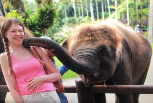 Keindahan Potensi, Harga Paket, Jalan Menuju Lokasi, Buka Jam Berapa, Harga Tiket Masuk, Elephant Safari Park Bali