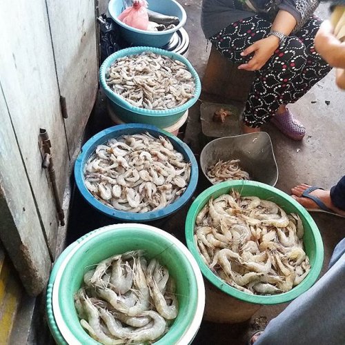 Pasar Pucang Buka Jam Berapa?