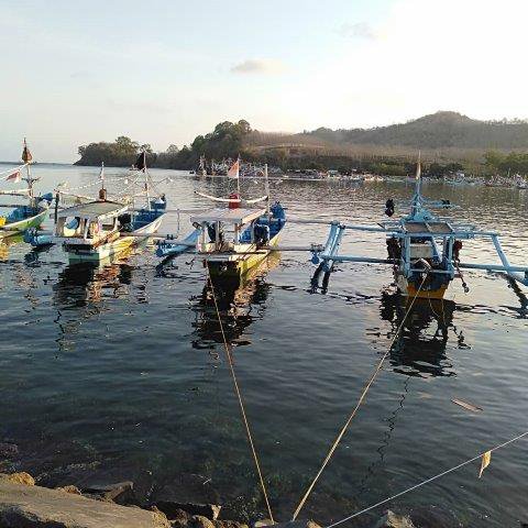 Mengenal Lokasi, Eksotisme Grajagan, Aktifitas Menarik, Fasilitas Komplit, Akses Menuju Lokasi, Tips Mengunjungi, Wisata Pantai Grajagan