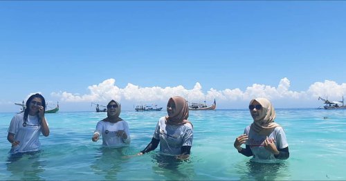Hal Yang Tepat, Keindahan Potensi, Rute Menuju Lokasi, Jam Buka, Harga Tiket Masuk, Wisata Teluk Biru