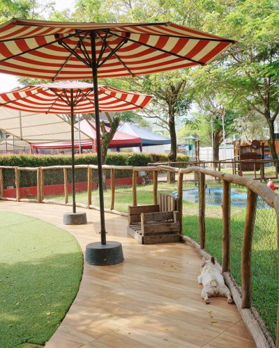 Lokasi Dimana , Tempat Bermain Anak, Buka Jam Berapa , Saat Pagi Hari, Kupu Kupu Cantik, Harga Tiket Masuk , Sangat Menarik, Wisata Scientia Square Park