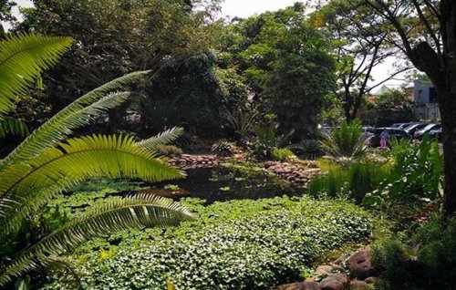 Top 10+ Gambar Godong Ijo Depok, Harga Tiket Masuk, Lokasi Alamat, Jam Buka Tutup, Nomer Telefon + Kuliner di Sekitar Area