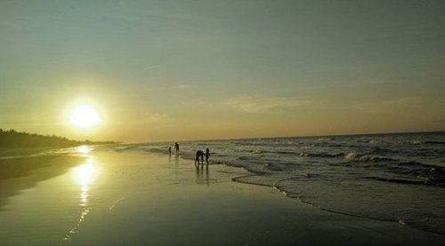 Harga Tiket Masuk, Sejarah Pohon Cemara Udang, Keistimewaan , Kegiatan di Pantai, Rute Menuju Lokasi, Fasilitas Yang Ada , Keindahan Wisata Pantai Lombang Sumenep Madura