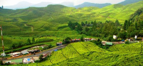 Top 5+ Objek Wisata di Puncak ini Jadi Tujuan Libur Lebaran