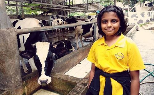 Cibubur Garden Diary, Agrowisata Edukasi yang Seru untuk Keluarga