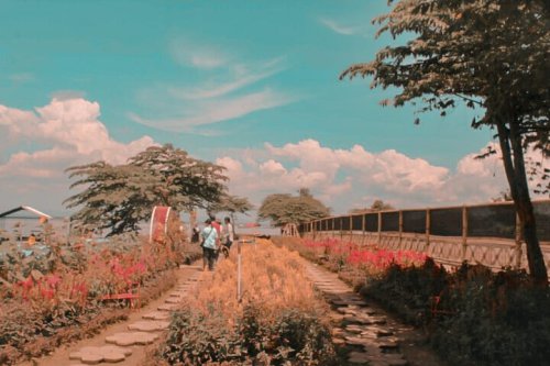 Indahnya Waduk Gajah Mungkur Wonogiri