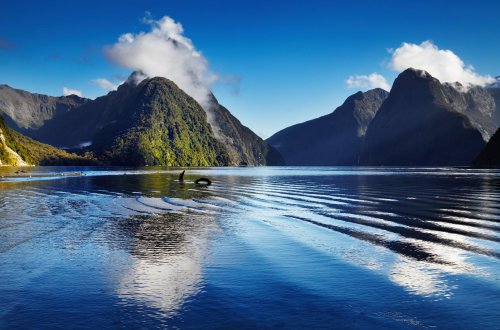 Liburan Ke New Zealand Ala Backpacker Murah, Berminat? Simak Tipsnya!