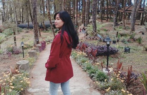Pango Pango, Sebuah Destinasi Istimewa di Tana Toraja