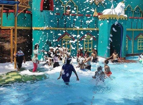 Aktivitas Yang Ditawarkan, Harga Tiket Masuk, Rute Menuju Lokasi, Penginapan Terdekat , Wisata Terdekat , Sejuknya Taman Wisata Kopeng Kabupaten Semarang