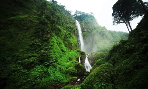 1. Taman Safari Indonesia (Cisarua), 2. Kebun Teh Rancabali, 3. Situ Patenggang, 4. Kawah Putih, 5. Farm House Lembang, 6. Floating Market Lembang, 7. De Ranch, 8. Gunung Gede Pangrango, 9. Sang Hyang Parahyangan, 10. Alun-Alun Cianjur, 11. Air Panas Cipanas, 12. Museum Fosil Sangiran, 13. Curug Cimahi, 14. Ranch Market Bandung, 15. Glamping Lakeside Rancabali, Tips Berkunjung ke Cianjur, Pertanyaan yang Sering Diajukan, Top 15+ Tempat Rekreasi di Cianjur untuk Keluarga: Destinasi Liburan Segar dan Menyenangkan 2026