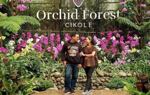 Pesona Hamparan Bunga Anggrek Indonesia di Orchid Forest Cikole