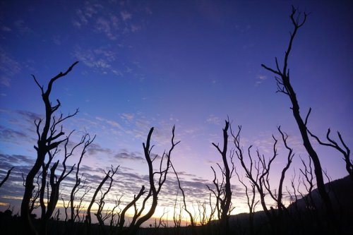 Liburan Asik Ke Garut, Jangan Lewatkan Untuk Ikut Paket Open Trip Papandayan Ini
