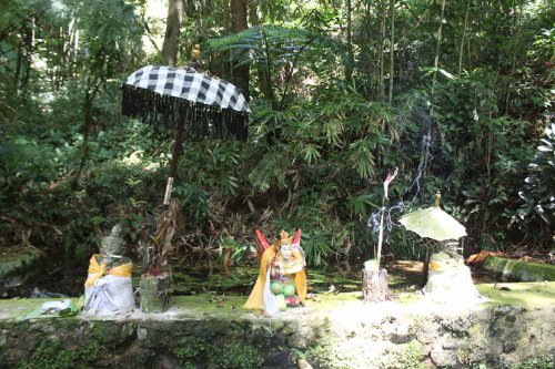 Asal Usul, Keindahan Potensi, Jalan Menuju Lokasi, Jam Buka, Harga Tiket Masuk, Wisata Rowo Bayu Songgon Banyuwangi