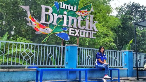 Harga Tiket Masuk, Jalan Menuju Lokasi, Fasilitas, Khasiat, Asal Usul Umbul Brintik, Usir Lelah Selepas Bekerja Dengan Berendam di Umbul Brintik