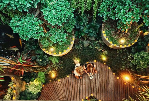 Jalan Menuju Lokasi, Menu Makanan , Sekitar Ubud, Clear Express, Direnovasi Karena Kebakaran, Sosial Media dan Lainnya, Direview Banyak Website , Clear Cafe Ubud, Tempat Nongkrong Asik di Bali