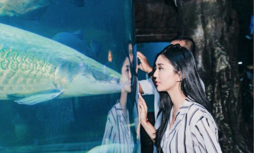 Top 10+ Wahana dan Daya Tarik Ancol Jakarta Utara yang Wajib Diketahui Keluarga: Panduan Liburan 2026