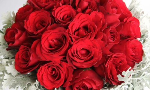 1. Mau Jadi Nomer Satu? Pasang Iklan Klik Disini, 2. PT Bromelia Indah , 3. Anggraini Florist, 4. Arza Florist, 5. Dunia Florist, 6. Ami Florist, 7. Anni Florist, 8. Starla Florist, 9. Romance Florist, 10. Kemuning Florist, 11. Christine Florist, Top 10+ Toko Bunga di Rawa Belong Yang Rangkaiannya Bagus