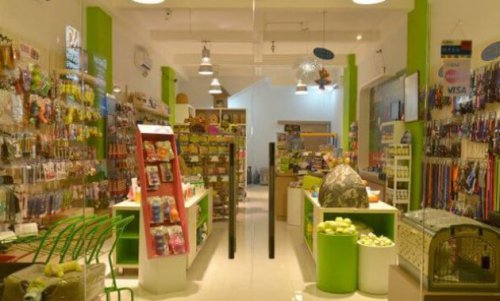 Top 10+ Daftar Petshop di Bali, Rekomendasi Terdekat Buat Melengkapi Kebutuhan Anabul Kamu