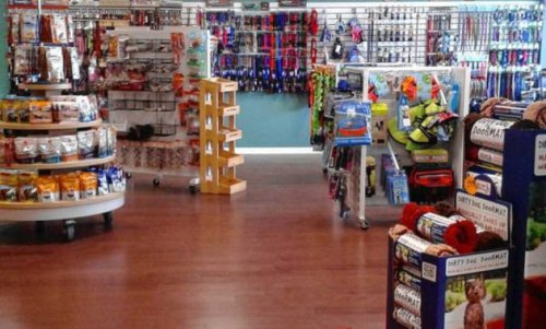 Top 10+ Petshop di Kota Semarang Yang Bisa Kamu Pilih
