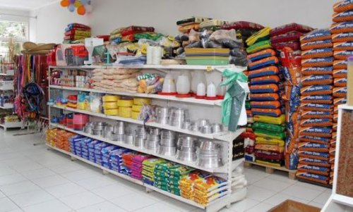 Top 10+ Petshop di Bekasi, Tempat Untuk Memenuhi Kebutuhan Hewan Kesayanganmu