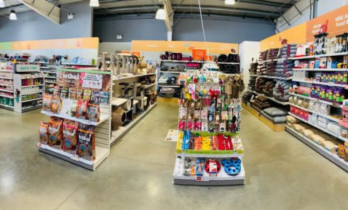 1. RG Petshop &amp; Grooming, 2. Cicurug Petshop, 3. Petshop 29 , 4. Zahra Petshop &amp; Grooming, 5. Jansen Petshop, 6. Baros Petshop, 7. Planet Petshop, 8. Satu Lima Tiga Pet Shop, 9. Bungbun Store Petshop &amp; Poultry, 10. ARF Bird and Petshop, Top 10+ Petshop di Sukabumi Yang Dapat Kamu Jadikan Langganan