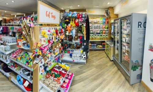 1. Animal Petshop House, 2. Miracle Pet Shop, 3. Jeslyn Petshop &amp; Care, 4. Indosera Petshop, 5. Pepi Petshop, 6. Lima Jaya Pet Shop, 7. Pondok Kicau , 8. Pet Go Petshop, 9. Cloud Pet Shop, 10. Jordan Grooming &amp; Care, Top 10+ Rekomendasi Petshop Terbaik di Ungaran