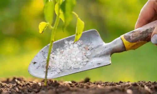 Top 10+ Toko Pertanian Andalan di Samarinda Agar Mendapatkan Hasil Panen Berkualitas dan Produktif