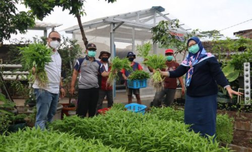 1. Joyo, 2. Fast Tembelang, 3. Sumber Urip, 4. UD Anugrah Tani, 5. Sumber Makmur, 6. UD Bumi Tani, 7. UD Subur, 8. Mitra Tani, 9. Sumber Jaya Tani, 10. UD Surya, 11. Gubuk Hidroponik Jombang, Top 10+ Toko Pertanian di Jombang Untuk Mendapatkan Saprotan Berkualitas dan Meningkatkan Hasil Panen