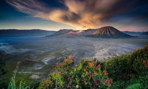 1. NahwaTour.com, 2. Inara Tour &amp; Travel, 3. Exotis Malang, 4. Malang Explore, 5. Abimanyu Tour, 6. Ongis Travel, 7. Nusantara Trip, 8. Setia Transport, 9. Malang Tour &amp; Travel, 10. Kalina Tour, 11. Labiru Tour &amp; Travel, Top 10+ Daftar Paket Wisata Kota Batu 3 Hari 2 Malam Dengan Harga Termurah Mulai Dari Rp400.000