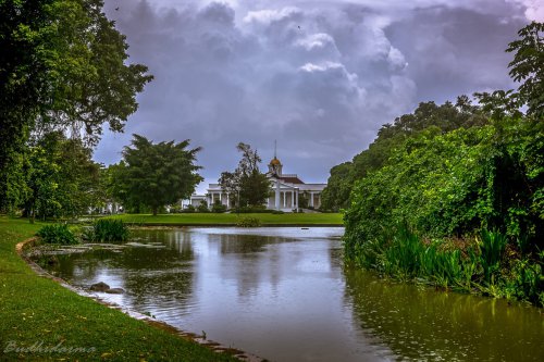Top 8+ Hotel Keluarga Dekat Kebun Raya Bogor: Lokasi Strategis, Nyaman untuk Anak, dan Mudah Akses