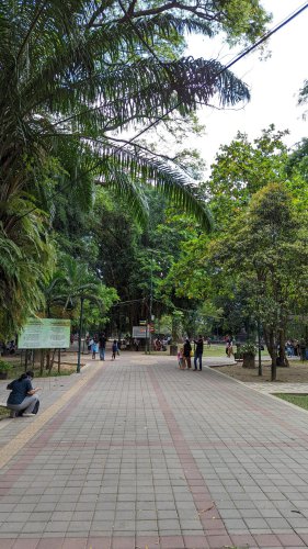 Wisata Keluarga di Taman Balekambang Solo: 7 Spot Santai dari Pagi sampai Malam