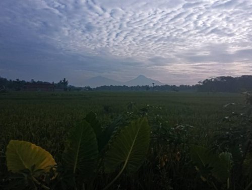 Top 12+ Tempat Hidden Gem di Boyolali yang Wajib Dikunjungi 2026: Pesona Alam dan Kuliner Desa