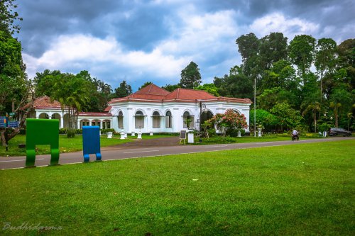 Top 7+ Aktivitas Keluarga di Sekitar Kebun Raya Bogor Saat Sore yang Bikin Anak Betah