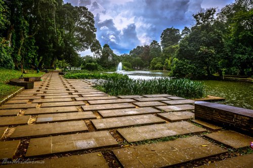 Wisata Keluarga Kebun Raya Bogor: Rute Sejuk, Spot Edukasi Anak, dan Estimasi Budget 1 Hari