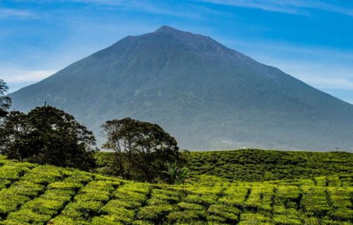 Top 10+ Tempat Wisata di Jambi yang Wajib untuk Dikunjungi