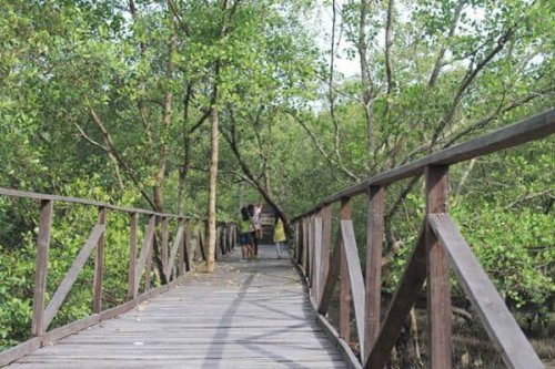 1. Hutan Bakau Margomulyo, 2. Pantai Lamaru, 3. Penangkaran Buaya Teritip, 4. Pantai Kemala, 5. Taman Bekapai, 6. Monumen Perjuangan Rakyat (MONPERA) Balikpapan, 7. Pantai Banua Patra, 8. Kampung Atas Air Margasari, 9. Gunung Dubs, 10. Hutan Wanawisata, 11. Caribbean Island Waterpark, 12. Pantai Manggar Segarasari, 13. Bukit Bangkirai, 14. Pantai Melawai, 15. Danau Cermin Lamaru, Top 10+ Tempat Wisata di Balikpapan yang Wajib Dikunjungi