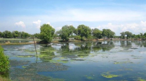 1. Pantai Kepetingan, 2. Lumpur Lapindo, 3. Tanggulangin, 4. Wisata Bahari Tlocor dan Pulau Sarinah, 5. Kolam Pemancingan Sedati, 6. Alun-Alun Sidoarjo, 7. Kampung Batik Jetis, 8. Delta Fishing, 9. Museum Mpu Tantular, 10. Candi Pari, Top 10+ Tempat Wisata di Sidoarjo yang Harus Dikunjungi
