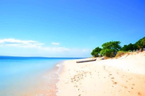1. Pantai Lekok, 2. Gunung Bromo, 3. Taman Safari Prigen, 4. Air Terjun Kakek Bodo, 5. Pantai Penunggul, 6. Kebun Raya Purwodadi, 7. Danau Ranu Grati, 8. Candi Jawi, 9. Pemandian Banyu Biru, 10. Coban Baung, Top 10+ Tempat Wisata di Pasuruan yang Luar Biasa Menarik