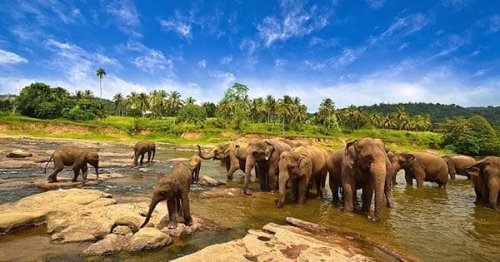 1. Taman Nasional Way Kambas, 2. Pantai Pasir Putih, 3. Teluk Kiluan, 4. Pantai Gigi Hiu, 5. Pulau Pahawang, 6. Cagar Alam Krakatau, 7. Pulau Sebuku, 8. Pantai Tanjung Setia, 9. Menara Siger, 10. Water Park Citra Garden, 11. Pantai Dewi Mandapa, 12. Curup Gangsa, 13. Bukit BLT, 14. Danau Ranau, 15. Pulau Mengkudu, Top 15+ Tempat Wisata di Lampung Favorit Para Wisatawan