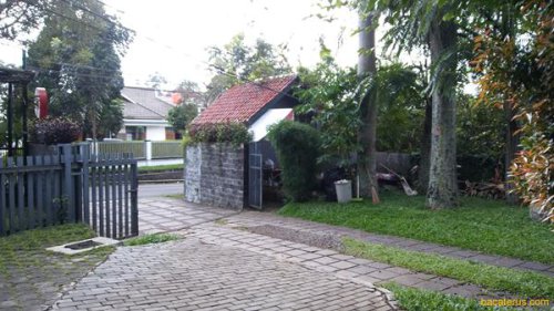 Tempat, Menu, Harga, Alamat, Little Wings, Kafe Bernuansa Homey yang Instagramable Banget