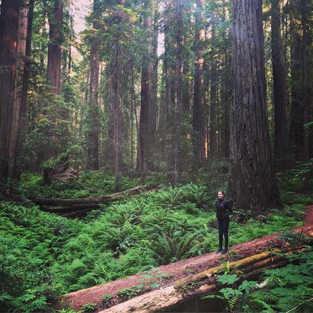 1. Hutan Bambu Sagano &ndash; Jepang, 2. Hutan Monteverde - Kosta Rika, 3. Hutan Humboldt Redwoods - California, Amerika Serikat, 4. Hutan Otzarreta &ndash; Spanyol, 5. Black Forest &ndash; Jerman, 6. Hutan Hallerbos - Belgia, 7. Hutan Amazon &ndash; Amerika Selatan, 8.&nbsp;Olympic National Forest - Washington, Amerika Serikat, 9. Mossy Forest &ndash; Malaysia, 10. Tanjung Puting &ndash; Indonesia, Top 10+ Hutan Terindah dan Paling Menakjubkan di Dunia