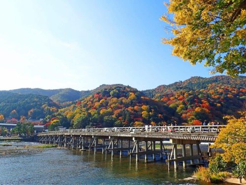 1. Arashiyama, Kyoto, 2. Taman Rikugien, Tokyo, 3. Taman Nasional Daisetsuzan, Hokkaido, 4. Danau Kawaguchi, Prefektur Yamanashi, 5. Kereta Hakone Tozan, 6. Kasuga Taisha, Top 6+ Destinasi Liburan Musim Gugur yang Mengesankan di Jepang