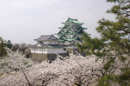 Top 10+ Tempat Wisata Terbaik di Nagoya yang Wajib Disinggahi
