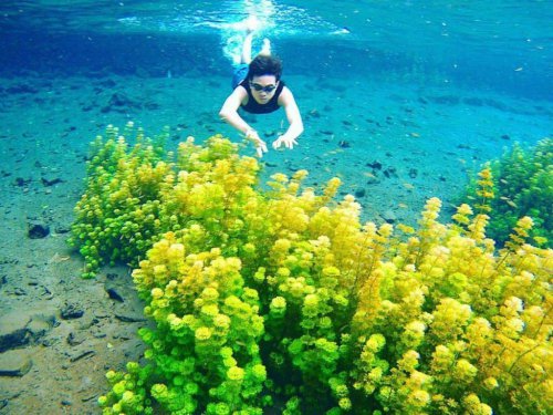 Top 10+ Tempat Wisata di Malang yang Menarik untuk Dikunjungi