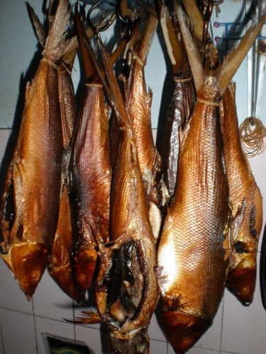 Top 10+ Makanan Khas Sidoarjo yang Wajib Banget Dicoba
