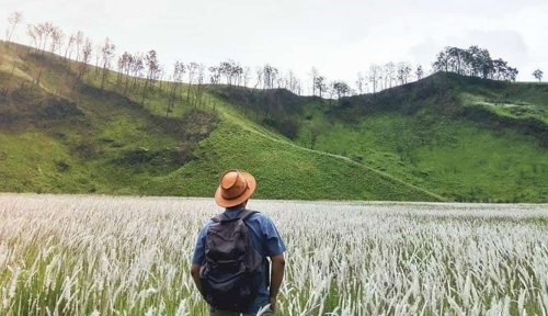 1. Kawah Ilalang, 2. Air Terjun Niagara Mini, 3. Rawa Indah Almour, 4. Air Terjun Blawan, 5. Bukit Jabal Kirmit, 6. Air Terjun Tancak Kembar, 8. Kawah Wurung, 9. Pohon Pelangi, &nbsp;10. Batu Susun Solor, Yuk, Mampir ke 10 Tempat Wisata Menarik di Bondowoso