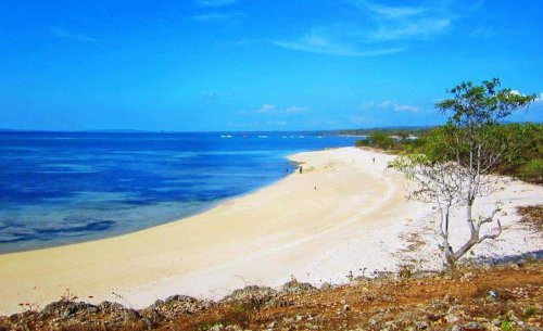 Top 9+ Tempat Wisata di Kupang yang Akan Membuatmu Terpesona