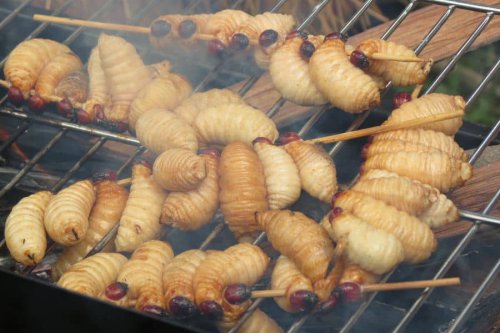 1. Papeda, 2. Sate Ulat Sagu, 3. Ikan Bakar Manokwari, 4. Ikan Bungkus, 5. Aunuve Habre, 6. Udang Selingkuh, 7. Martabak Sagu, 8. Upacara Bakar Batu, Top 8+ Makanan Khas Papua Barat yang Unik dan Rasanya Enak